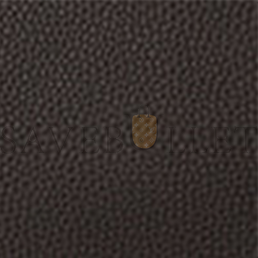 THE ROW INDIA 12.00 BAG IN LEATHER DARK BROWN W1595L23DBP (30*30*24cm) THE ROW INDIA 12.00 BAG IN LEATHER DARK BROWN W1595L23DBP (30*30*24cm)